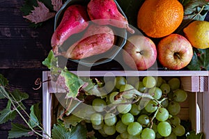 Top view of the pears, grapes, apples, and other delicious fruits on the wooden surface