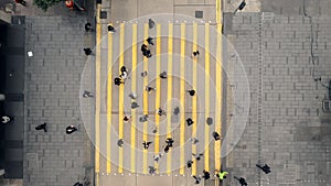 Top view, pedestrian and crosswalk road in the city of people or crowd walking together outdoors. Group moving or
