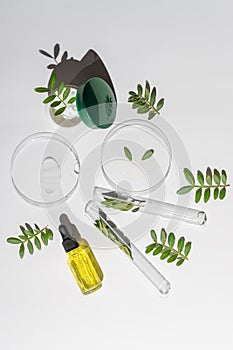 Top view of petri dishes with green plants, jar with face ream and beauty oil in bottle dropper. Concept of the research and