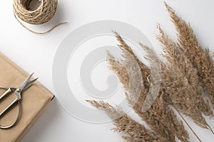 Top view photo of handicraft tools scissors craft paper box spool of twine and pampas grass on isolated white background