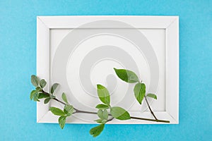 Top view photo of white wooden photo frame and branch with flowers on pastel blue background