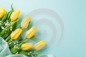 Top view photo of woman`s day composition bunch of yellow tulips white gypsophila and soft textile on isolated pastel blue