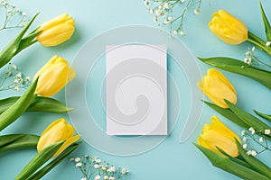 Top view photo of woman`s day composition yellow tulips white gypsophila and paper sheet on isolated pastel blue background with