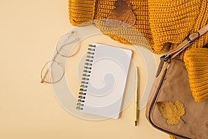 Top view photo of yellow sweater brown autumn leaves leather handbag stylish glasses golden pen and spiral notebook on isolated