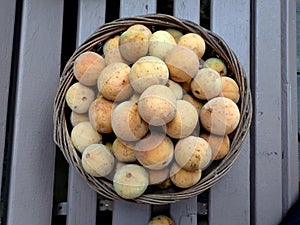 top view photograph of duku fruits