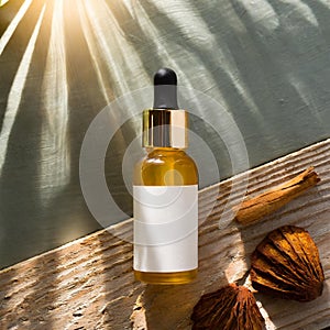 top view photograph skincare serum bottle with label with sun shining, cinnamon stick an shels