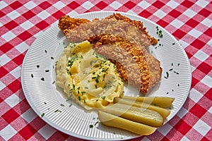 Top view picture on deep fried chicken escalope or schnitzel with mashed potatoes.