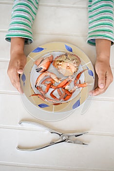 Top view picture of hands and red cooked crab on plate. Exotic vacation.