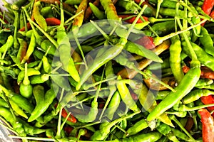 Top View Pile of Fresh Chili and Ripe Red hot chili