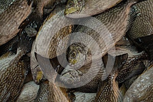 Top view of a pile of fresh unpeeled fish for sale at a wet market in Singapore