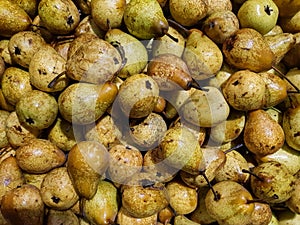 Top view of pile of pears
