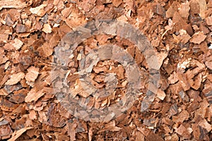 Top view of pine bark mulch