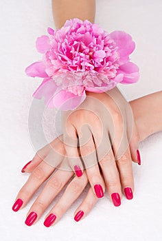 Top view pink manicure with flower