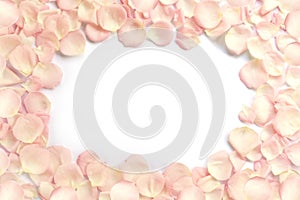 Top view of pink rose petals on white background.