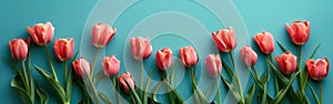 Top View Pink Tulips on Turquoise Background with Copy Space - Website Banner