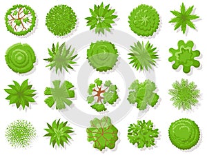 Top view plants. Tropical trees, green plant tree from above for aerial map isolated vector collection