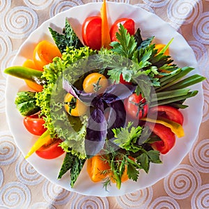 Top view plate with assorted fresh vegetables