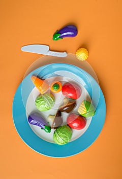 Top view of a plate filled with colorful toy vegetables