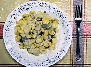 Top view of plate with orecchiette pasta.