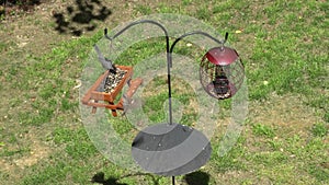 Top view of a pole with two bird feeders with squirrel baffle