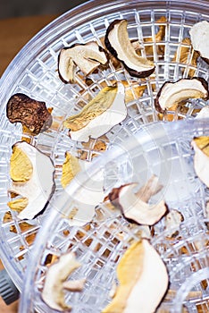 Top view of porcini mushrooms in the dehydrator