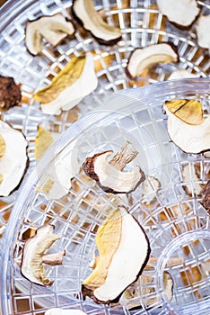 Top view of porcini mushrooms in the dehydrator