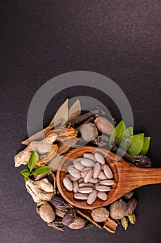 Top view portrait shot of herbal medicines in a wooden spoon with natural herbs on a black background and copy space. Ayurveda