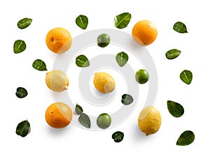 Sunkist, lemon, and lime with leaves photo