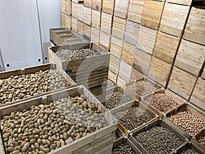 Top view of a potato storage. Refrigerated cold warehouse for potatoes and onions with wooden boxes.