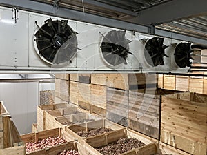 Top view of a potato storage. Refrigeration equipment. Ventilation systems. Climate control.