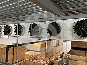 Top view of a potato storage. Refrigeration equipment. Ventilation systems. Climate control.