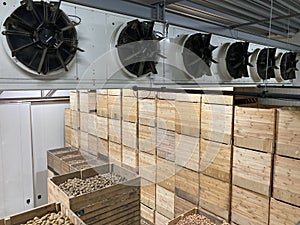 Top view of a potato storage. Refrigeration equipment. Ventilation systems. Climate control.