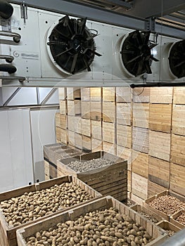 Top view of a potato storage. Refrigeration equipment. Ventilation systems. Climate control.