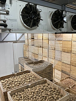 Top view of a potato storage. Refrigeration equipment. Ventilation systems. Climate control.