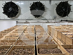 Top view of a potato storage. Refrigeration equipment. Ventilation systems. Climate control.