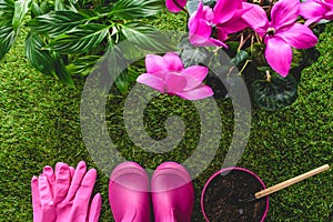 top view of protective gloves, rubber boots, flower pot with hand rake and flowers on grass