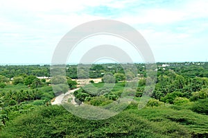 Top view rameswaram forest