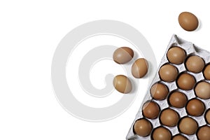 Top view of raw chicken eggs in egg carton box isolated on white background, packaging