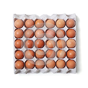 Top view of raw chicken eggs in egg carton box isolated on white background