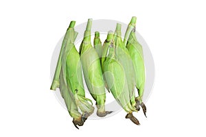 Top view raw corn