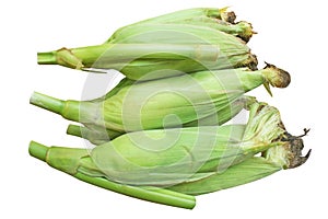Top view raw corn