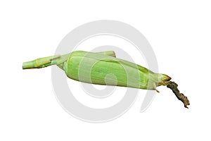 Top view raw corn