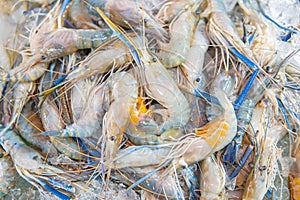 Top view of raw prawns on crushed ice