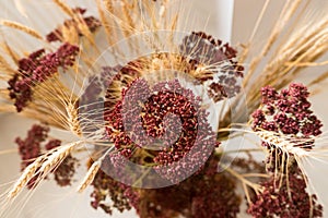 Top view of red flowers and brown spikelets in focus