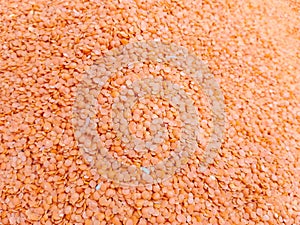 Top View of Red Lentils, Masoor Dal Organic Food