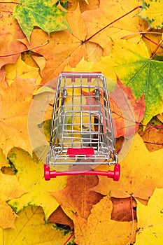 Top view of red pushcart over colorful autumn leaves background. fall sale season concept