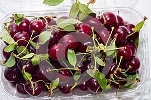 Top view of red ripe cherries with green leaves, close-up