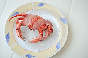 Top view of red tasty boiled crab on plate background, delicious seafood,