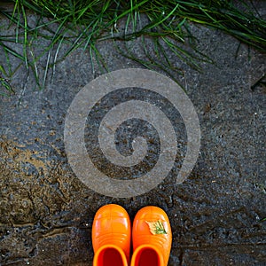 Top view of reddish rubber boots on wet concrete background in front of the wet green grass