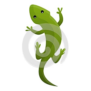 Top view reptile icon, cartoon style